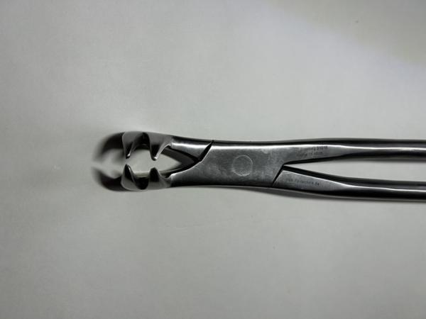 Forceps P